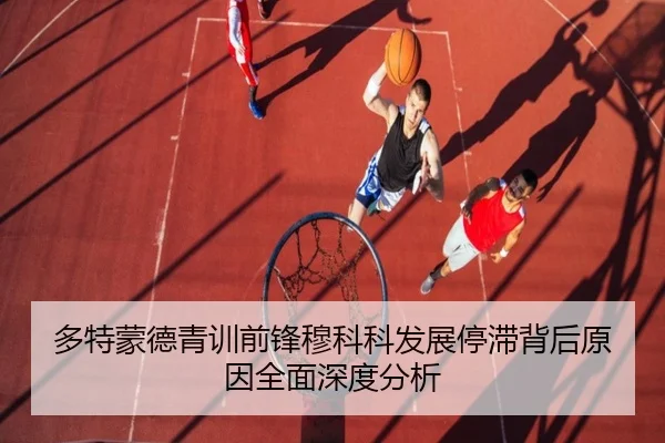 多特蒙德青训前锋穆科科发展停滞背后原因全面深度分析