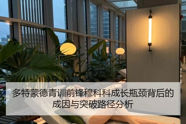 多特蒙德青训前锋穆科科成长瓶颈背后的成因与突破路径分析